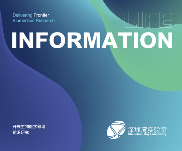 翰林學校VI設計_打造獨特的品牌形象